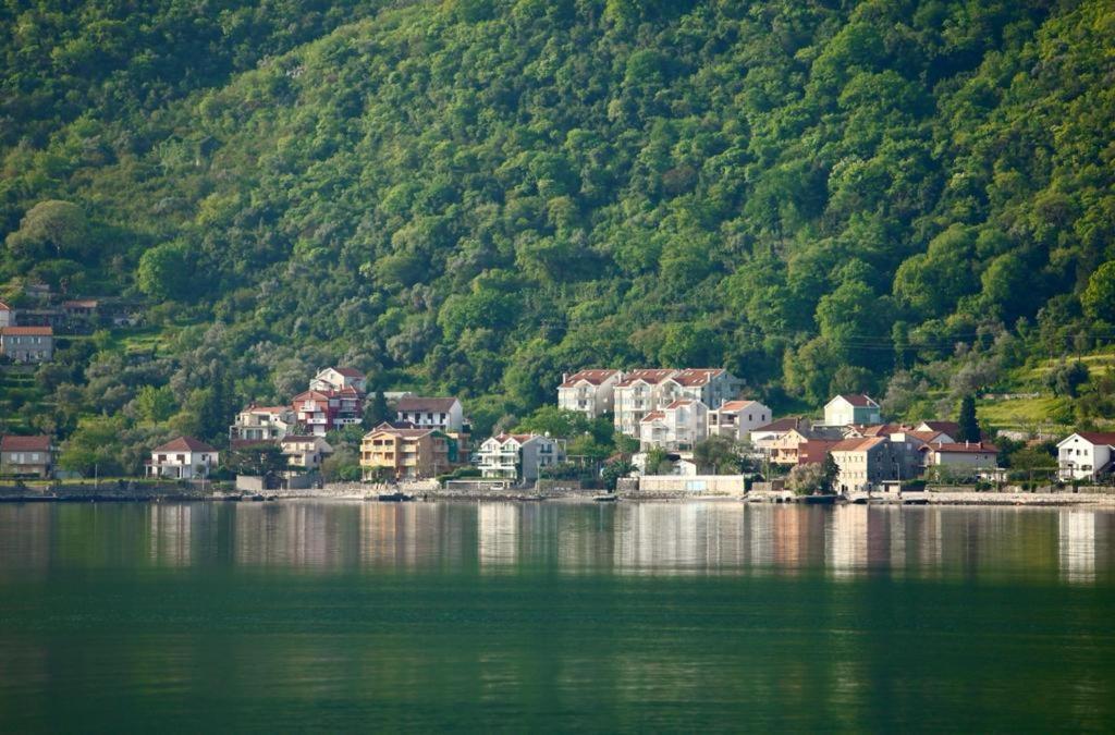 Ana Apartment Kotor Kültér fotó